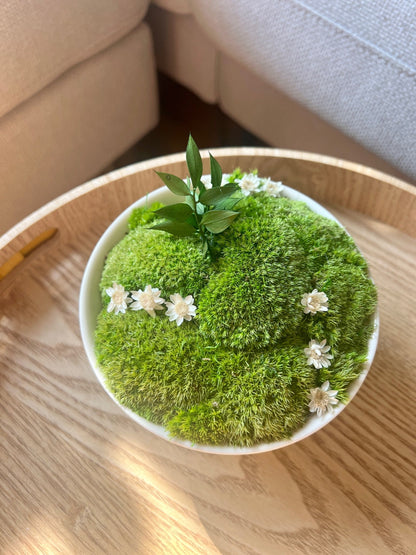 Moss Bowl Centrepiece | Moss | Preserved Moss Gift  | Ceramic Moss Bowl | One of a Kind | Green Pole Moss | Preserved Fern | Wedding Gift |