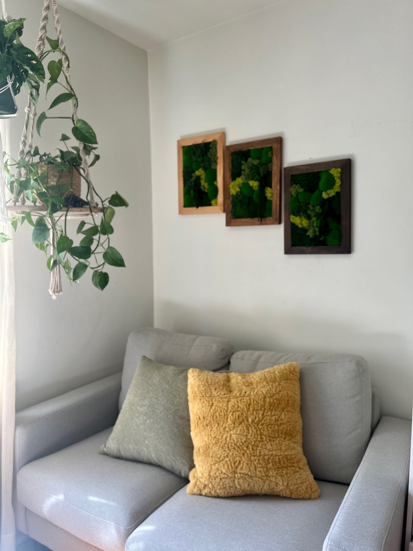 Preserved Reindeer Moss Wall Art: Rectangle Wood Frame (12x16) | USA - TARIFF FREE