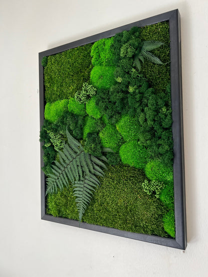 Moss Wall Art | Preserved Moss Framed | Moss Wall Decor | Pole Moss Sheet Moss and Fern with Reindeer Moss