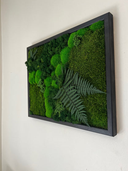Preserved Moss Wall Art: Reindeer Moss & Fern Framed Decor | USA - TARIFF FREE