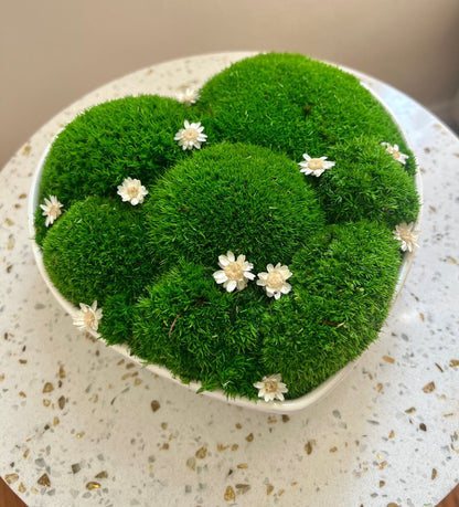 MOSS CENTREPIECE | Pole Moss | Moss Heart Bowl | Preserved Moss Gift  | Moss Bowl | One of a Kind | Green Pole Moss | Wedding Gift