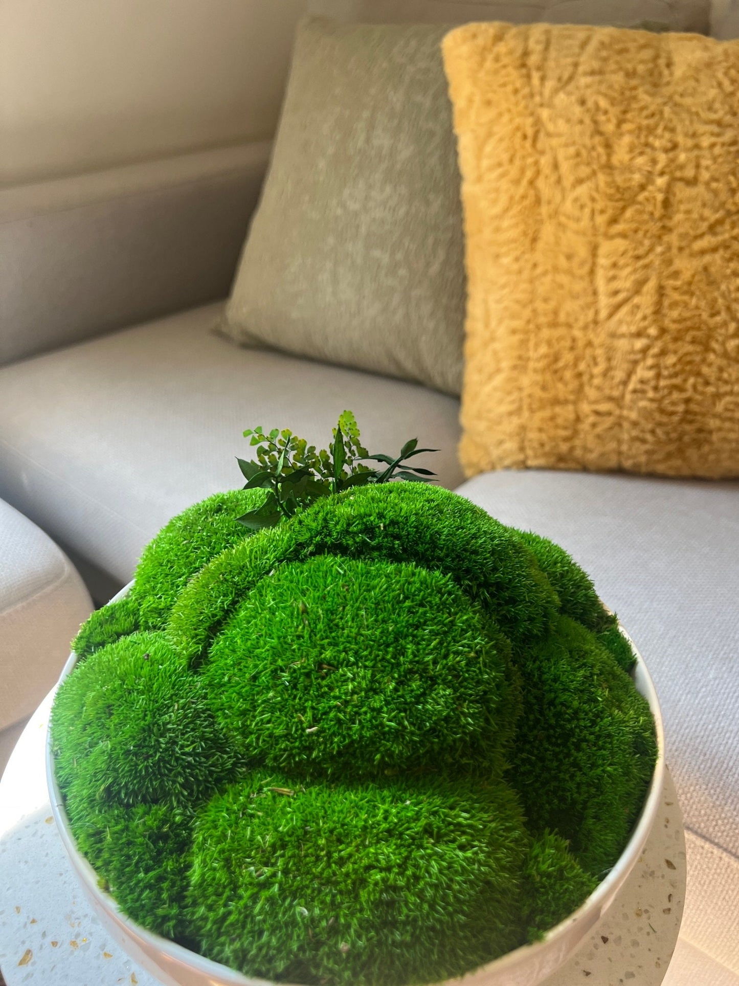Preserved Pole Moss Centerpiece: Ceramic Bowl, Green Moss Decor | USA - TARIFF FREE