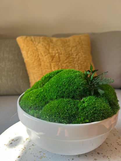 Preserved Pole Moss Centerpiece: Ceramic Bowl, Green Moss Decor | USA - TARIFF FREE