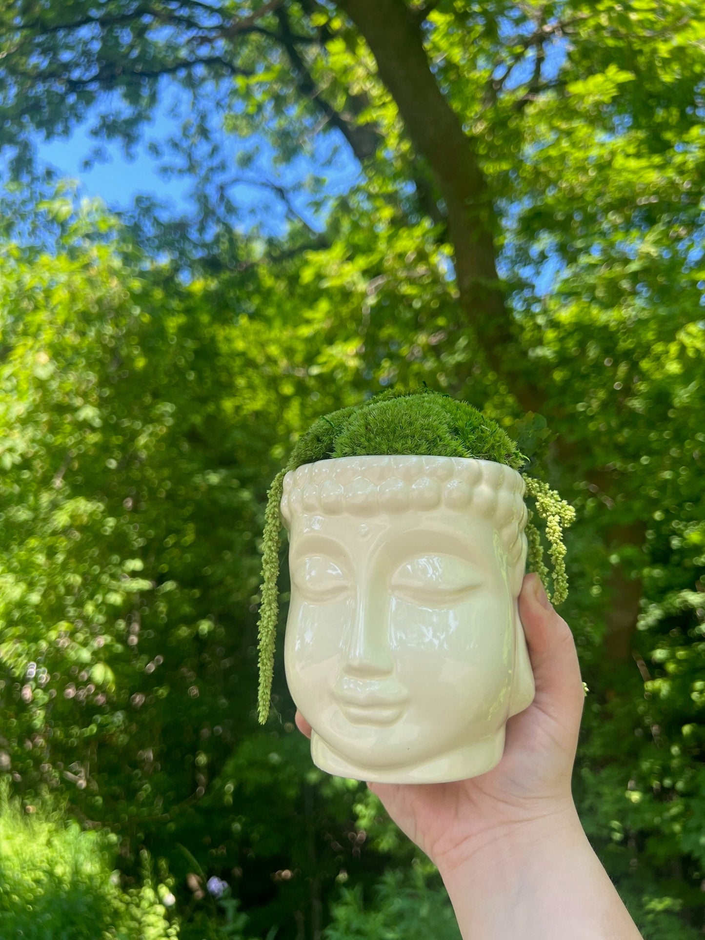 Preserved Moss Centerpiece: Buddha Bowl with Fern | USA - TARIFF FREE