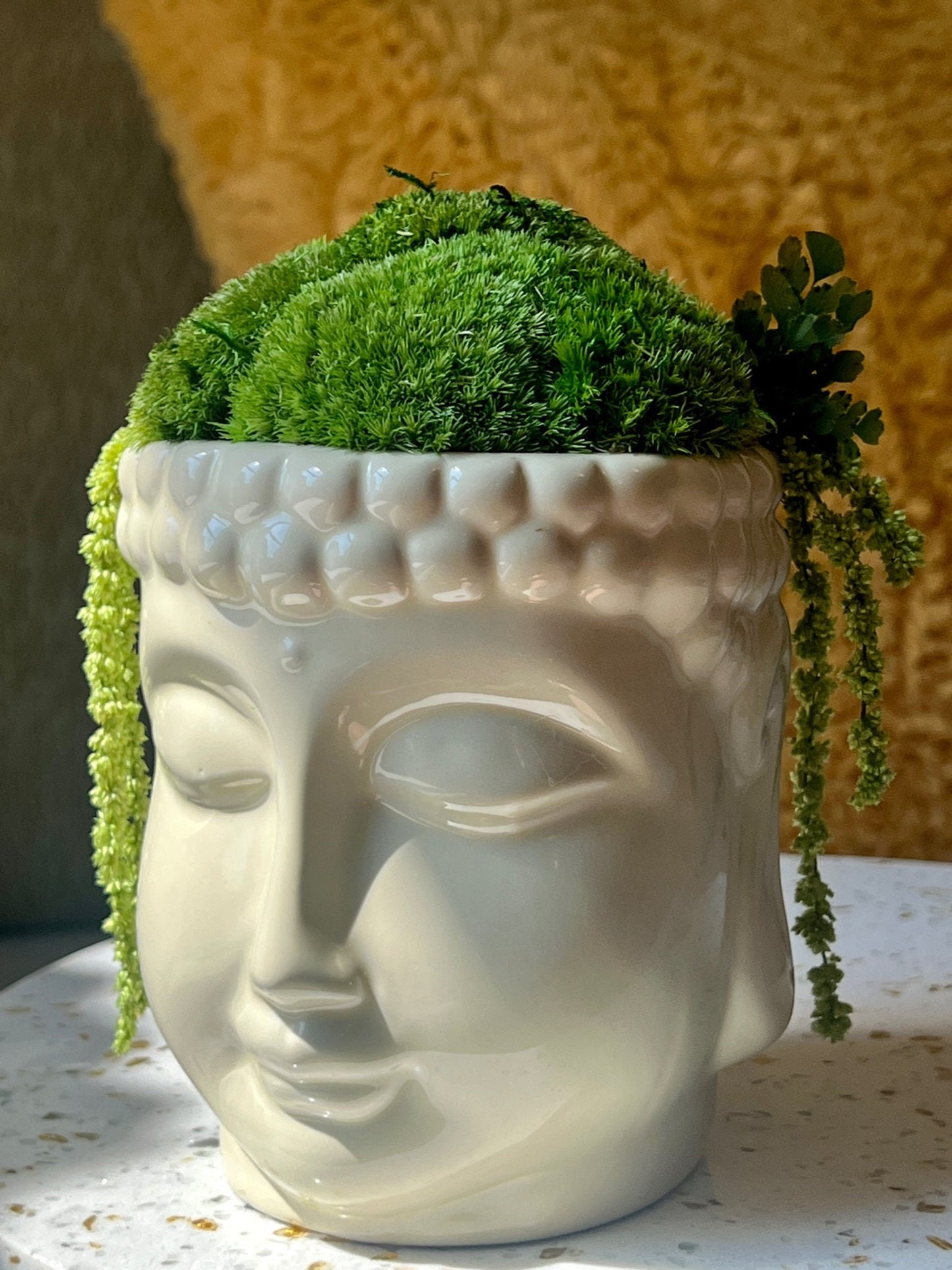 Preserved Moss Centerpiece: Buddha Bowl with Fern | USA - TARIFF FREE