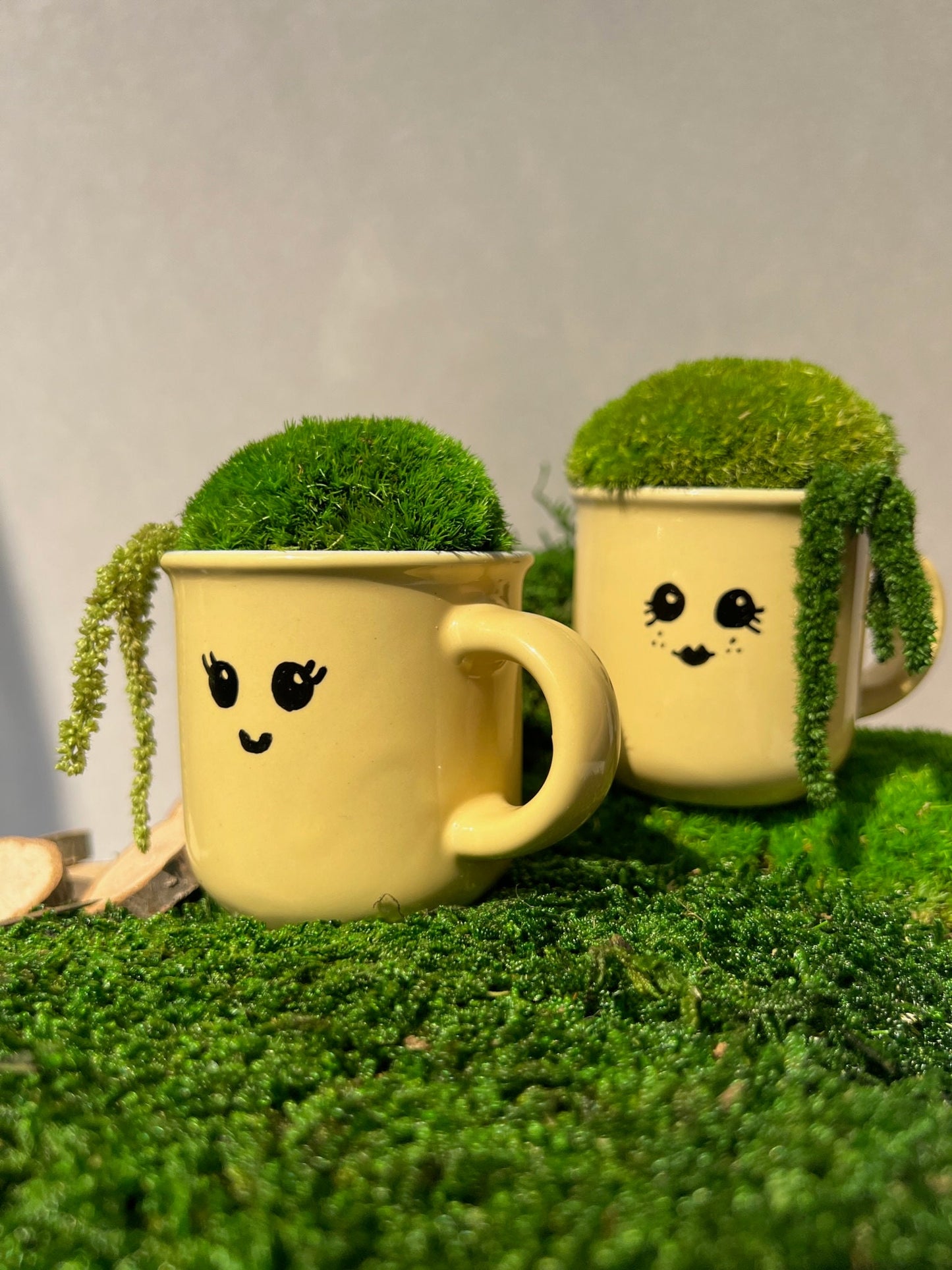 Preserved Moss Mini Centerpiece: Espresso Cup with Fern | USA - TARIFF FREE