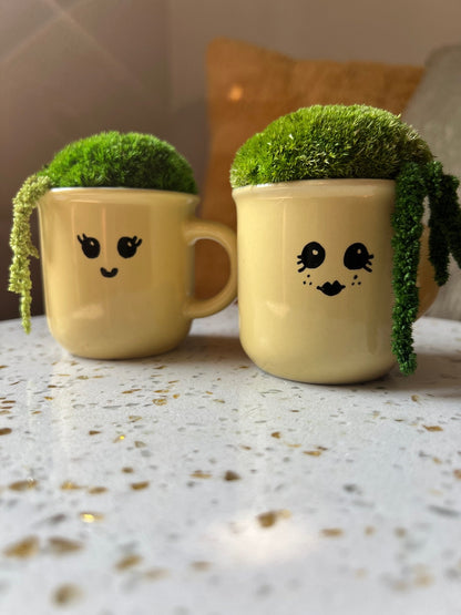 Preserved Moss Mini Centerpiece: Espresso Cup with Fern | USA - TARIFF FREE
