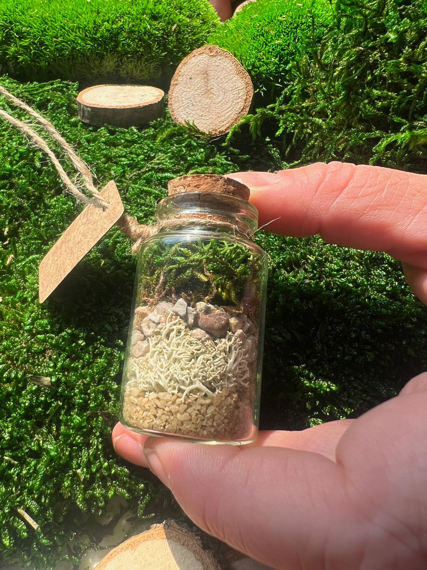 Mini Moss Terrarium | Reindeer Moss | Preserved Sheet Moss | Pole Moss | Rocks | Nature | Gift | Glass Terrarium | Nature Gift |