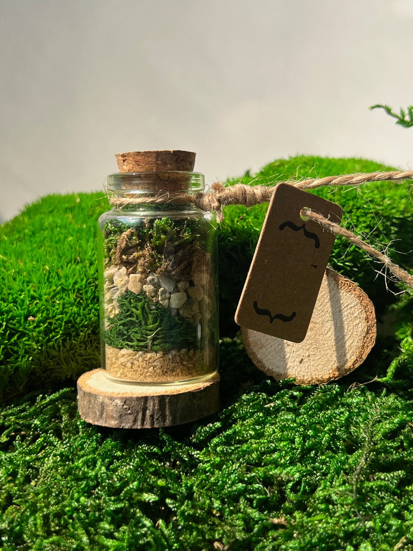 Mini Moss Terrarium | Reindeer Moss | Preserved Sheet Moss | Pole Moss | Rocks | Nature | Gift | Glass Terrarium | Nature Gift |