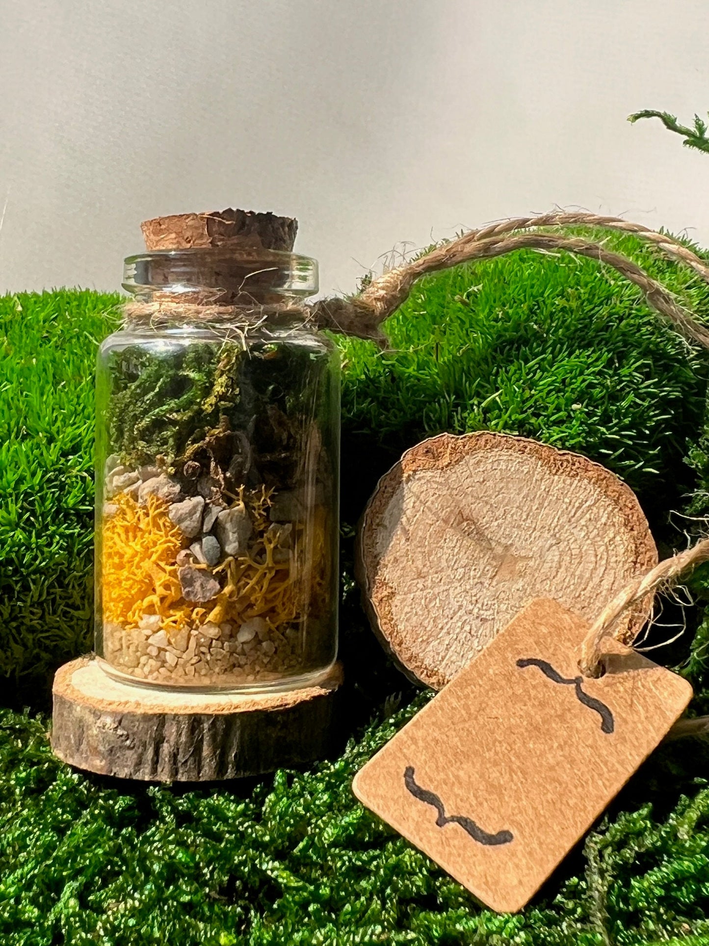 Mini Moss Terrarium: Preserved Reindeer Moss, Nature Gift | USA - TARIFF FREE