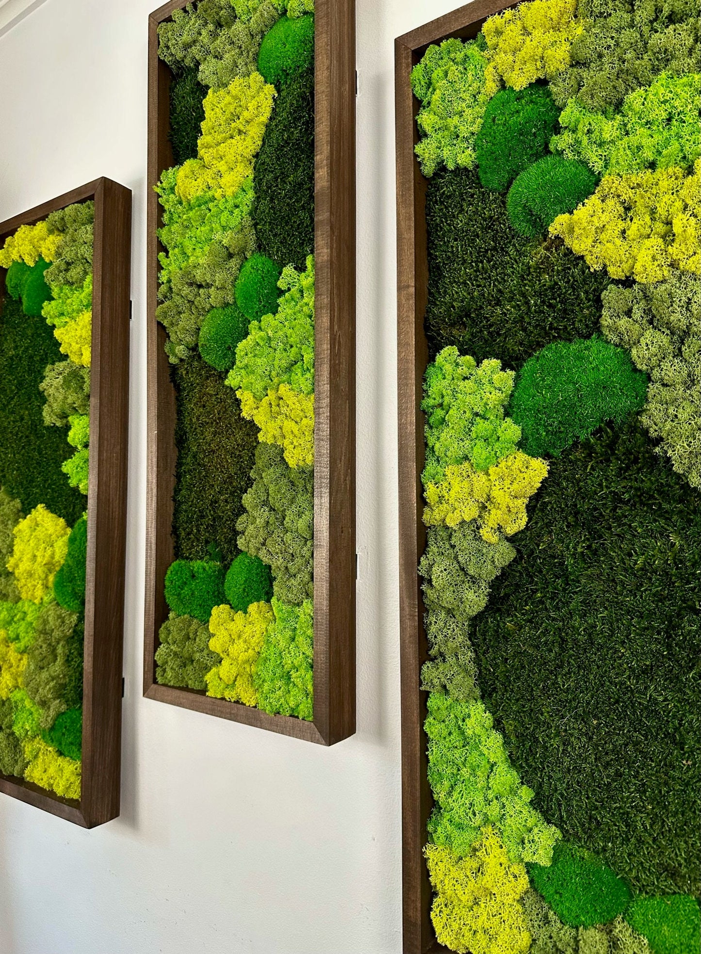 Preserved Reindeer Moss Wall Art: Rectangle Wood Frame, Green Moss Set | USA - TARIFF FREE
