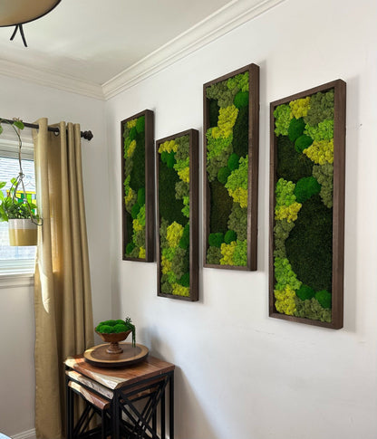 Preserved Reindeer Moss Wall Art: Rectangle Wood Frame, Green Moss Set | USA - TARIFF FREE
