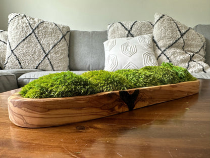 Moss Centerpiece | Pole Moss | Moss Planter | Preserved Moss Gift  | Olive Wood Nature Bowl | One of a Kind | Green Pole Moss | Gift