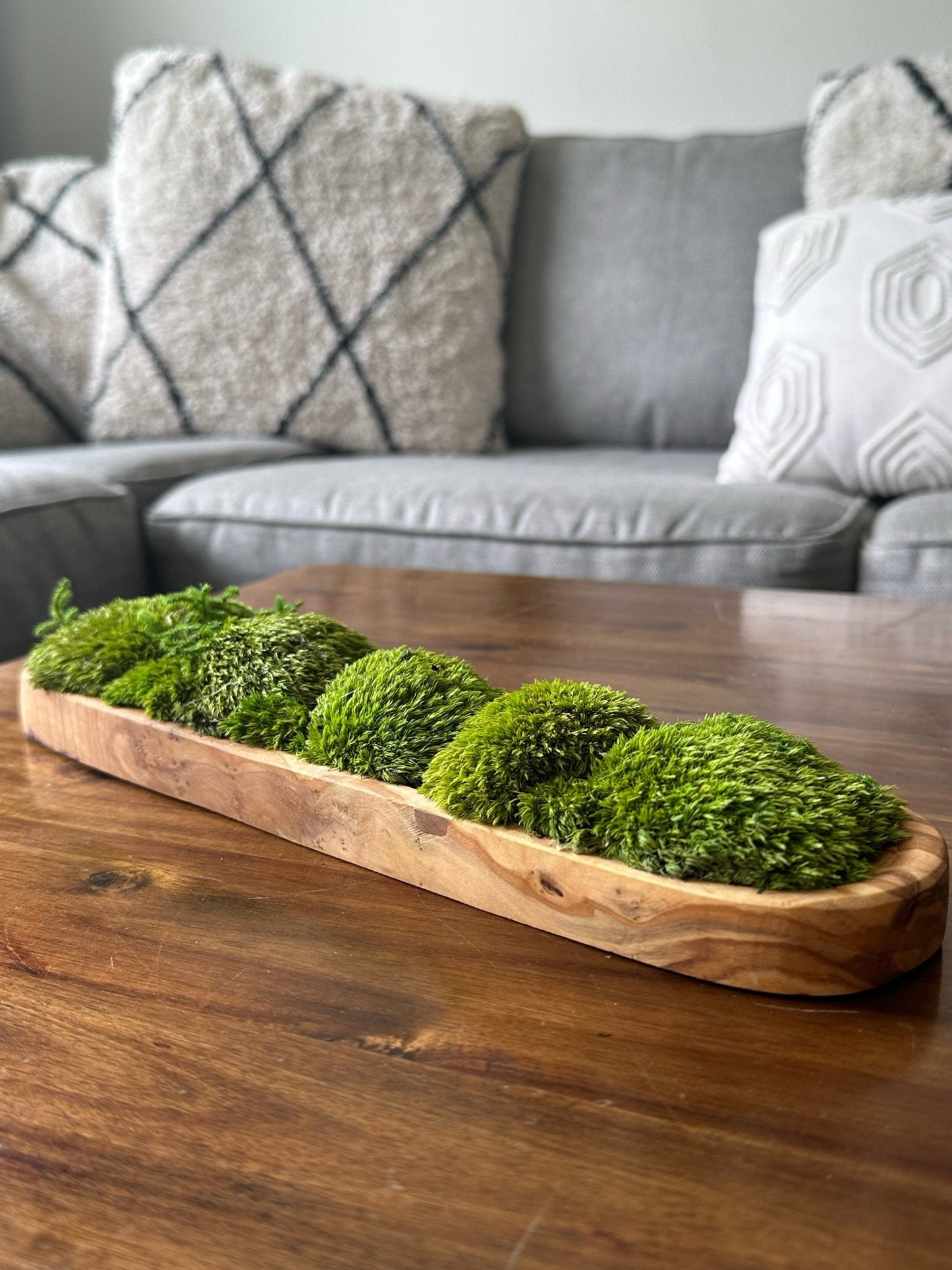 Moss Centerpiece | Pole Moss | Moss Planter | Preserved Moss Gift  | Olive Wood Nature Bowl | One of a Kind | Green Pole Moss | Gift