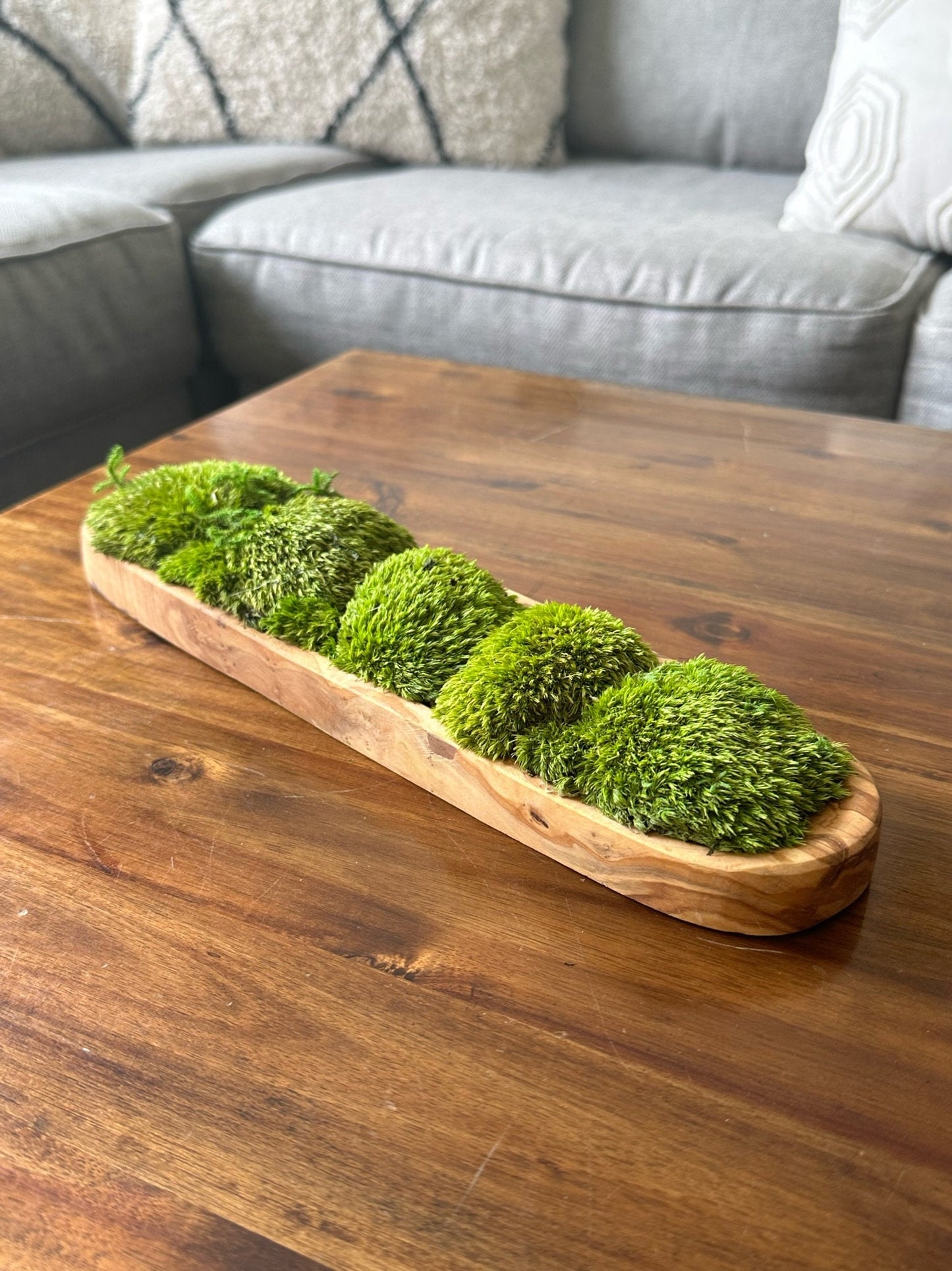 Moss Centerpiece | Pole Moss | Moss Planter | Preserved Moss Gift  | Olive Wood Nature Bowl | One of a Kind | Green Pole Moss | Gift