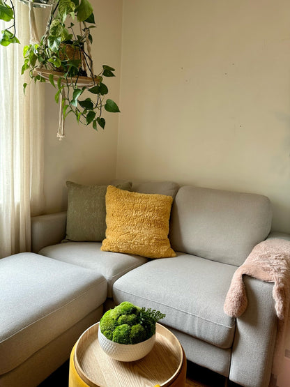 Preserved Pole Moss Centerpiece: Ceramic Bowl, Green Moss Decor | USA - TARIFF FREE