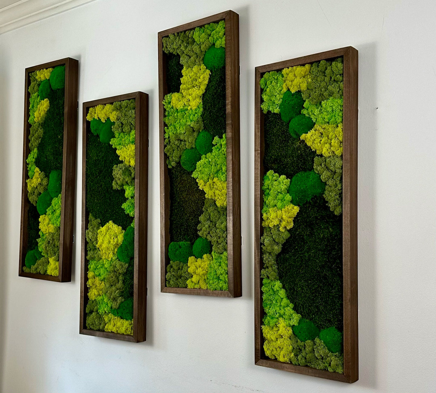 Preserved Reindeer Moss Wall Art: Rectangle Wood Frame, Green Moss Set | USA - TARIFF FREE