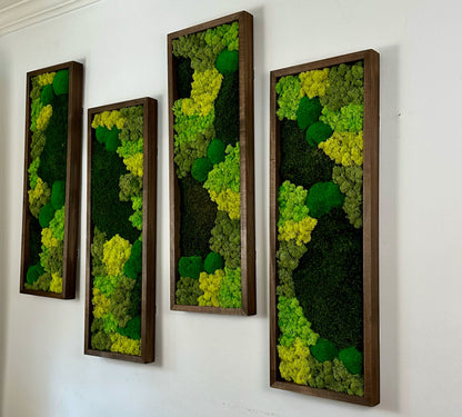 Preserved Reindeer Moss Wall Art: Rectangle Wood Frame, Green Moss Set | USA - TARIFF FREE