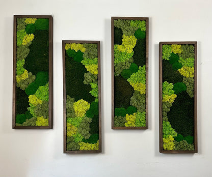 Preserved Reindeer Moss Wall Art: Rectangle Wood Frame, Green Moss Set | USA - TARIFF FREE