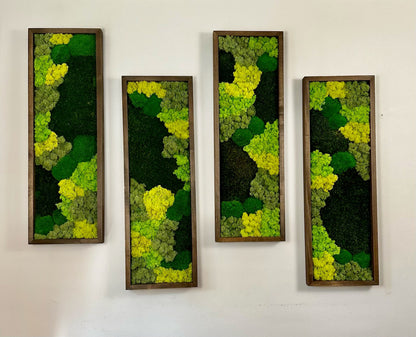 Preserved Reindeer Moss Wall Art: Rectangle Wood Frame, Green Moss Set | USA - TARIFF FREE