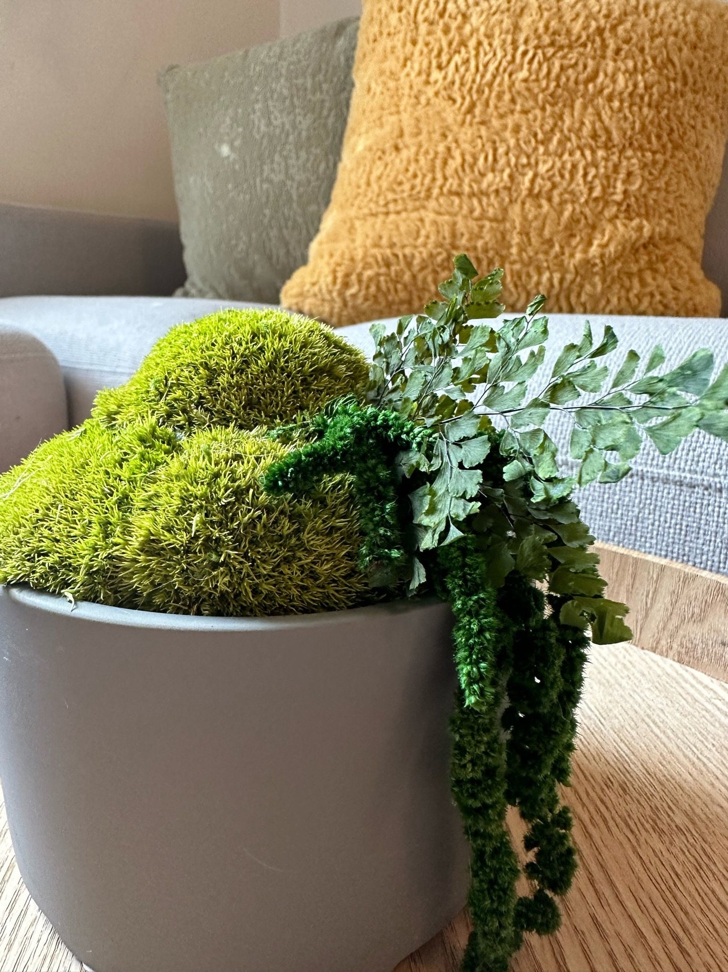 Moss Bowl Centrepiece | Moss | Preserved Moss Gift | Concrete Moss Bowl | Green Pole Moss | Preserved Fern | Wedding Gift |