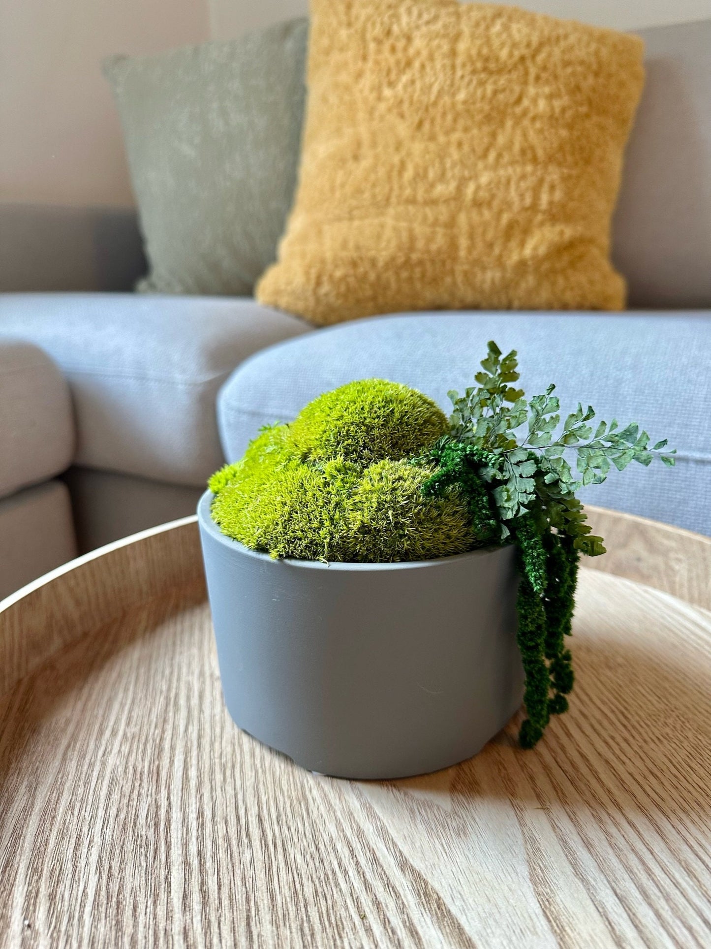 Moss Bowl Centrepiece | Moss | Preserved Moss Gift | Concrete Moss Bowl | Green Pole Moss | Preserved Fern | Wedding Gift |