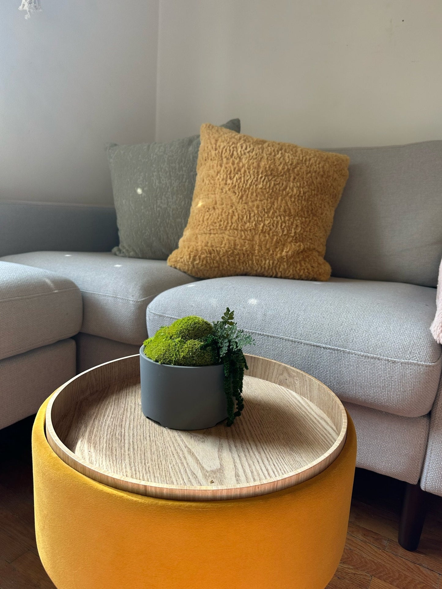Preserved Moss Bowl Centerpiece: Concrete Planter with Fern | USA - TARIFF FREE