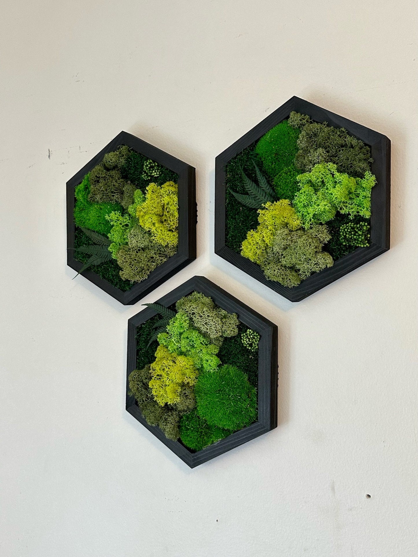 Handmade Moss Wall Art: Wood Hexagon with Reindeer Moss & Fern | USA - TARIFF FREE
