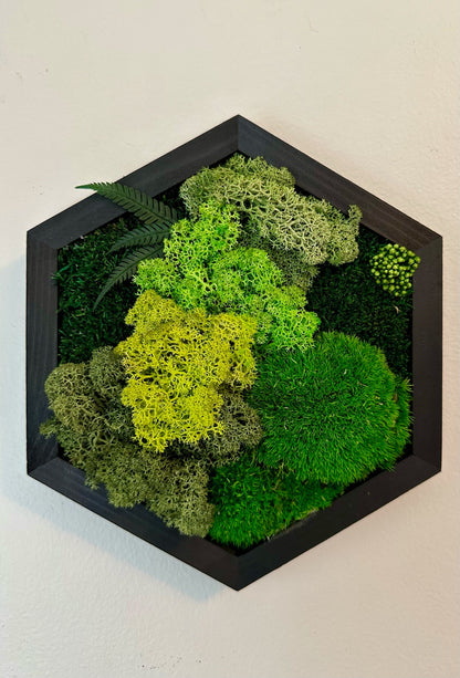 Handmade Moss Wall Art: Wood Hexagon with Reindeer Moss & Fern | USA - TARIFF FREE