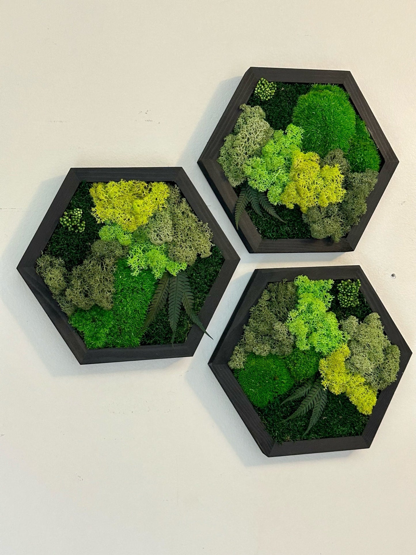 Handmade Moss Wall Art: Wood Hexagon with Reindeer Moss & Fern | USA - TARIFF FREE