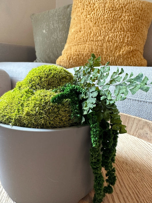 Moss Bowl Centrepiece | Moss | Preserved Moss Gift | Concrete Moss Bowl | Green Pole Moss | Preserved Fern | Wedding Gift |