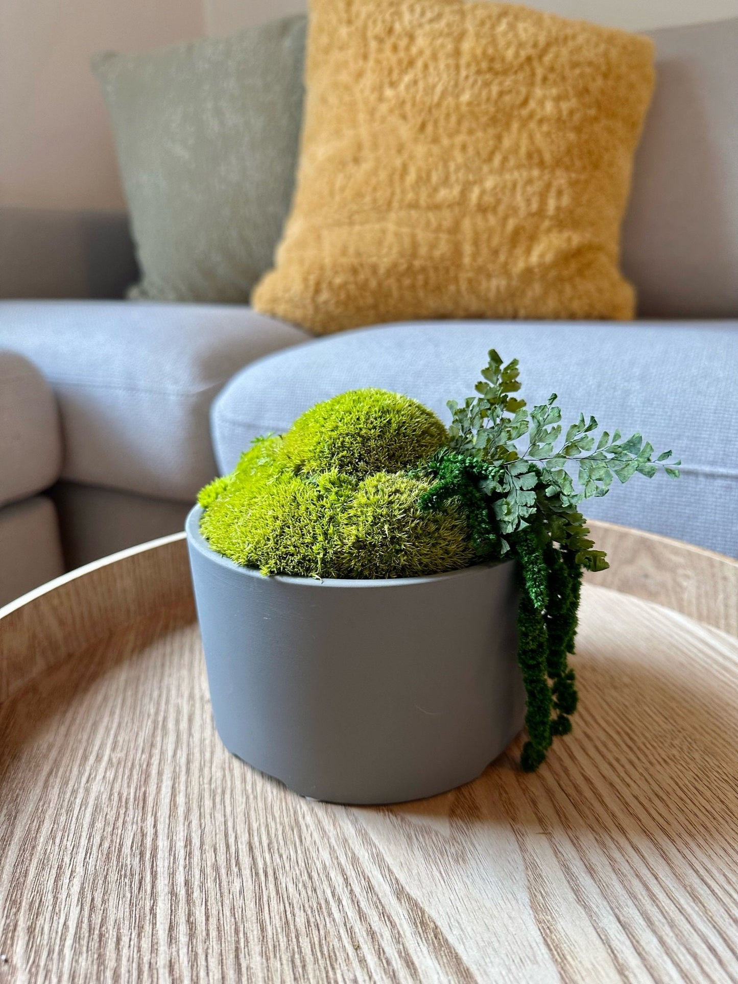 Moss Bowl Centrepiece | Moss | Preserved Moss Gift | Concrete Moss Bowl | Green Pole Moss | Preserved Fern | Wedding Gift |