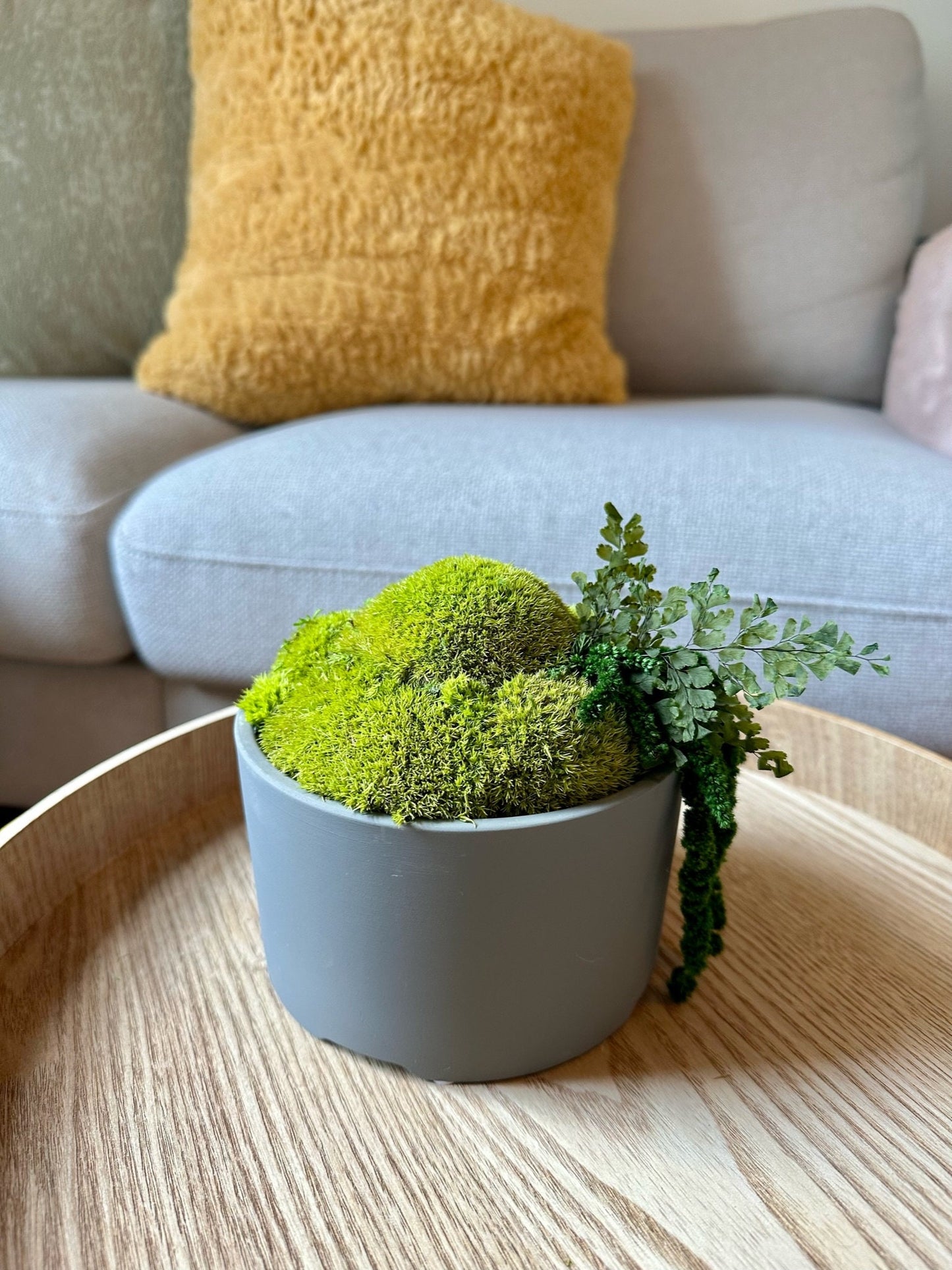 Preserved Moss Bowl Centerpiece: Concrete Planter with Fern | USA - TARIFF FREE