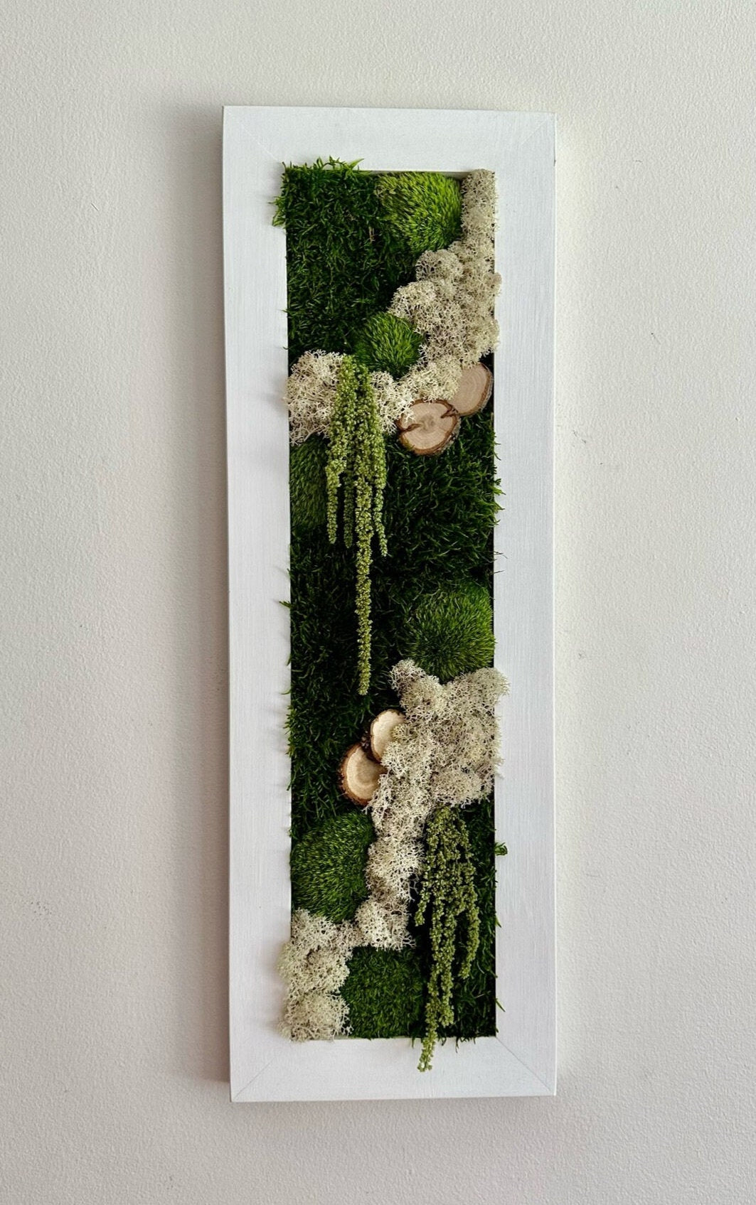 Framed Preserved Moss Wall Art: Reindeer & Pole Moss Decor | USA - TARIFF FREE