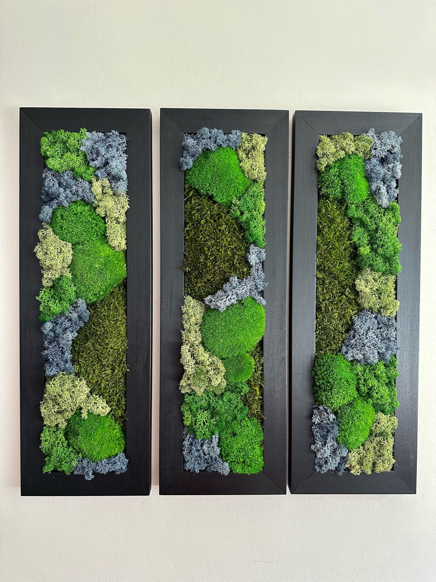 Framed Preserved Reindeer Sheet and Pole Moss Wall Art: Rectangle Set | USA - TARIFF FREE