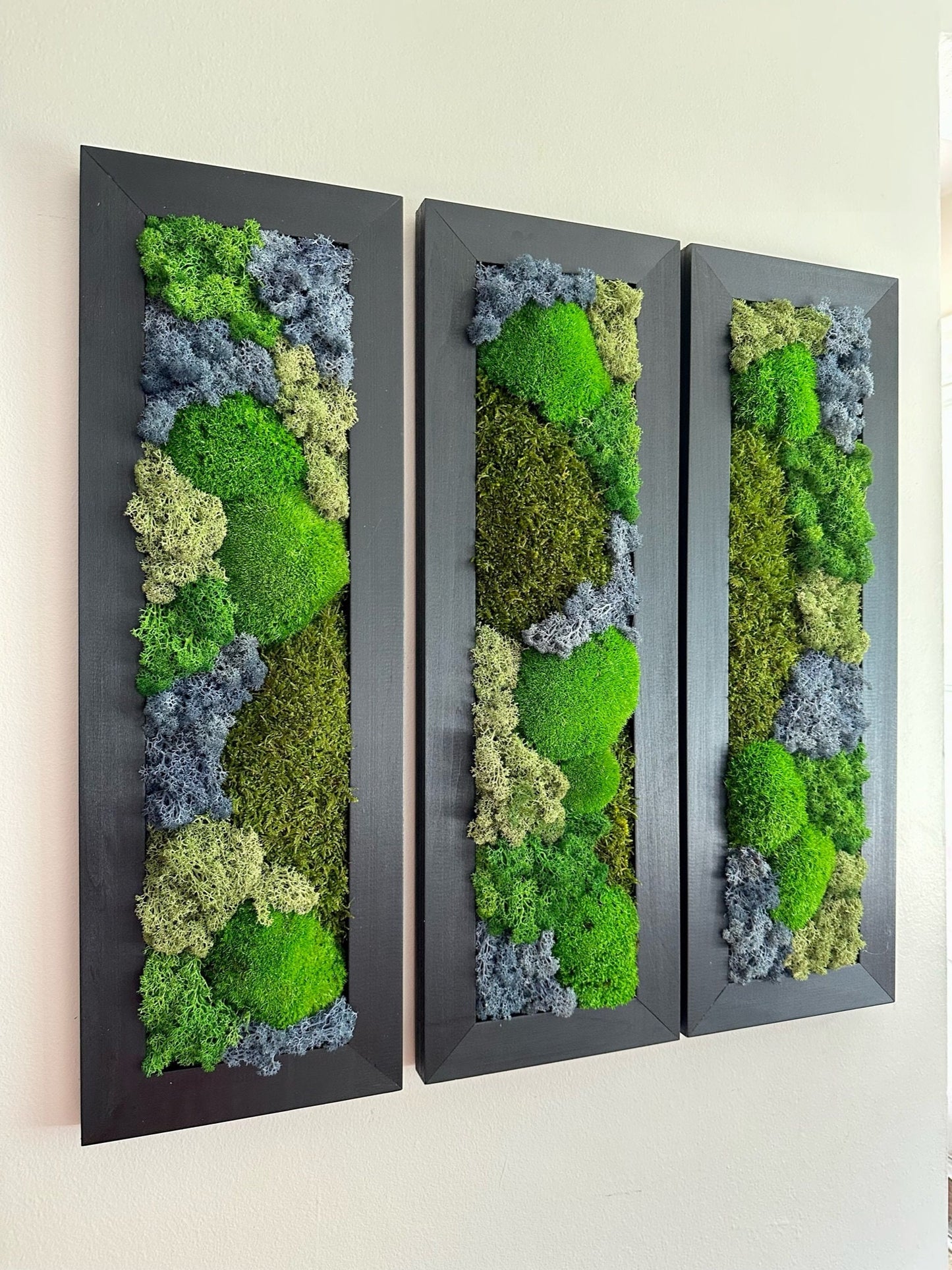 Framed Preserved Reindeer Sheet and Pole Moss Wall Art: Rectangle Set | USA - TARIFF FREE