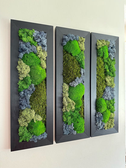 Framed Preserved Reindeer Sheet and Pole Moss Wall Art: Rectangle Set | USA - TARIFF FREE