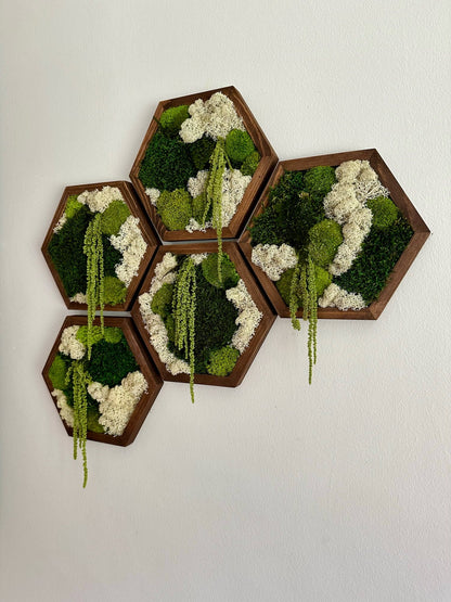 Handmade Moss Wall Art: Wood Hexagon with Preserved Reindeer Moss & Fern | USA - TARIFF FREE