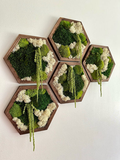 Handmade Moss Wall Art: Wood Hexagon with Preserved Reindeer Moss & Fern | USA - TARIFF FREE