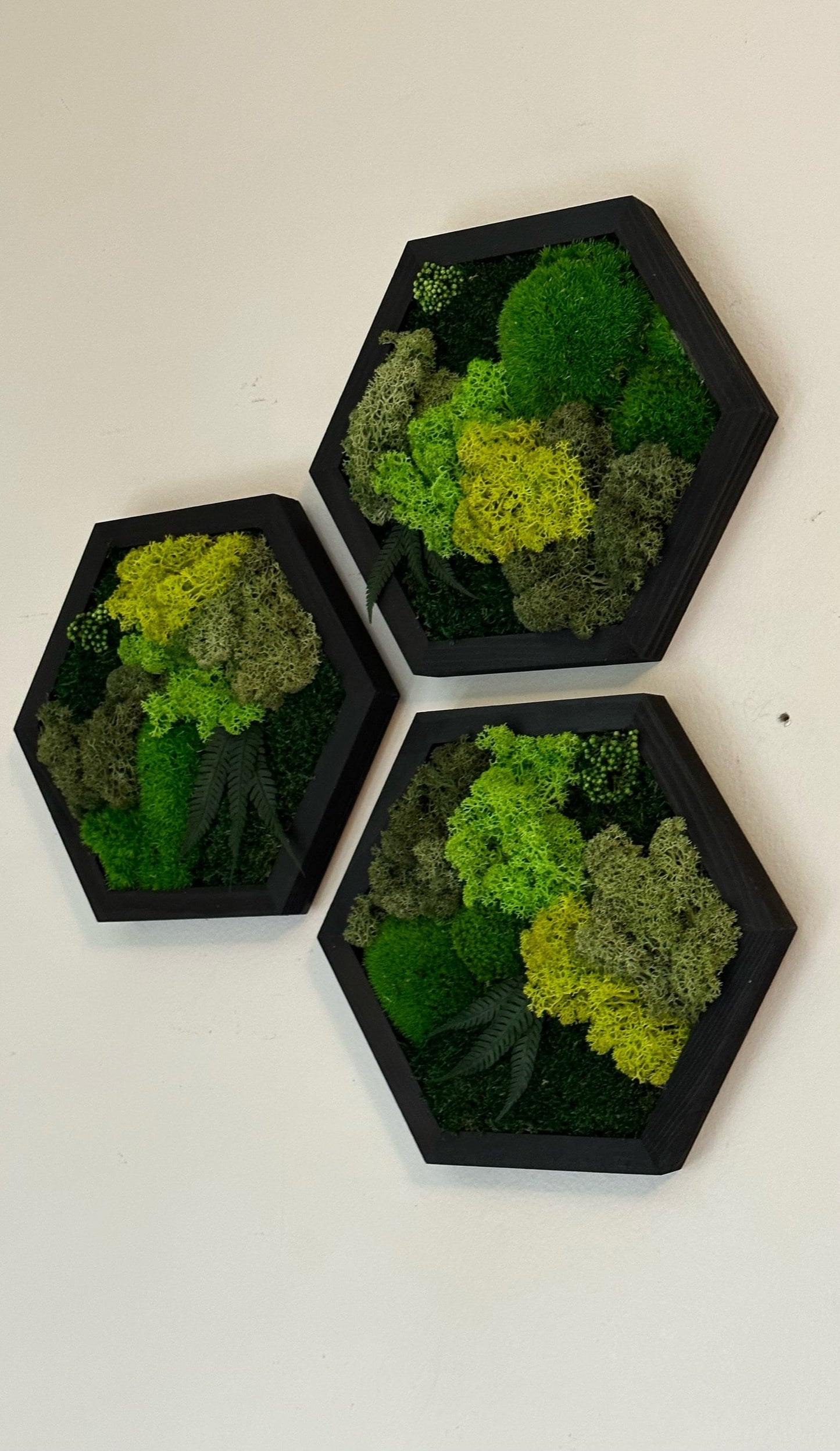 Handmade Moss Wall Art: Wood Hexagon with Reindeer Moss & Fern | USA - TARIFF FREE