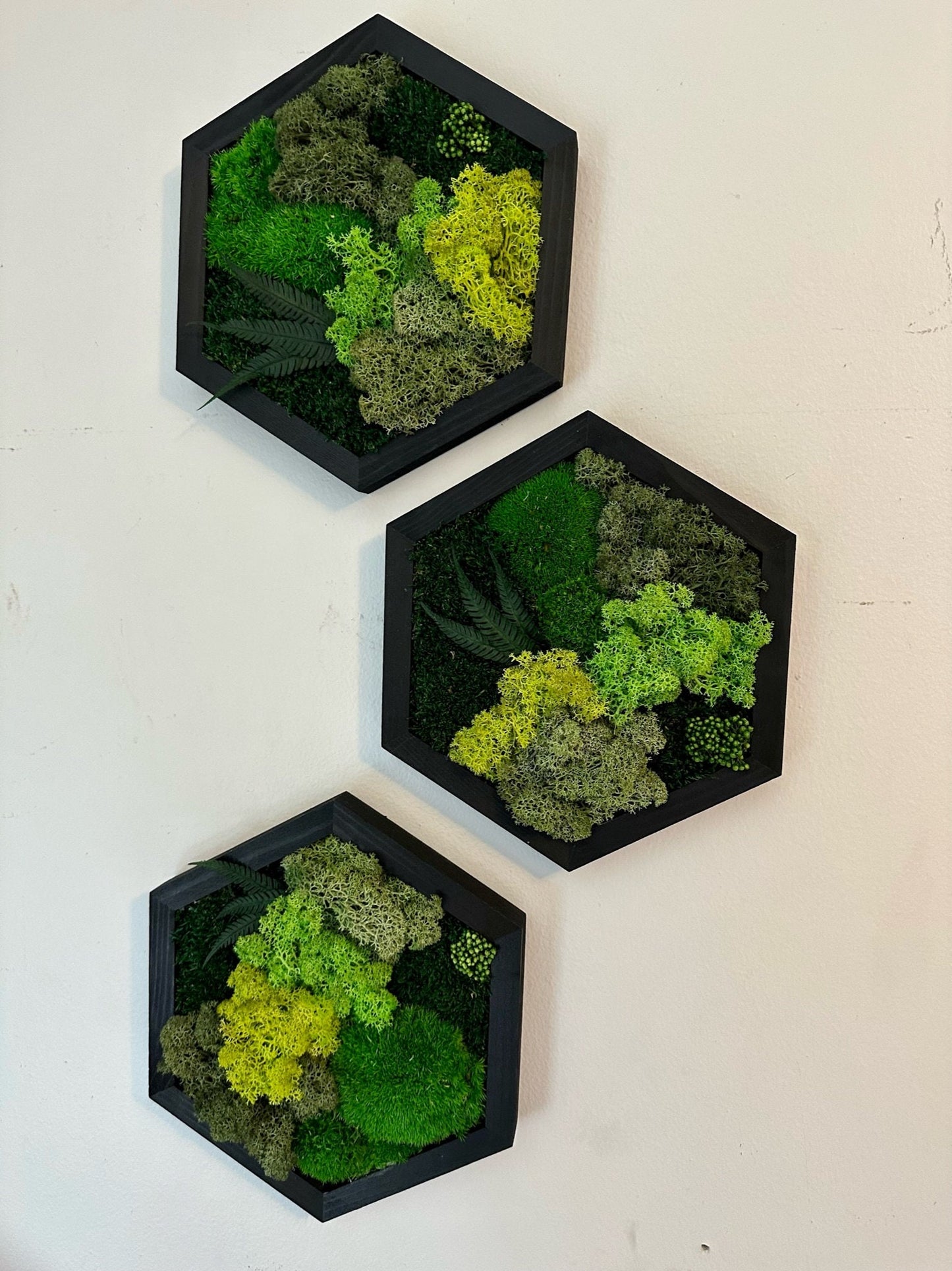 Handmade Moss Wall Art: Wood Hexagon with Reindeer Moss & Fern | USA - TARIFF FREE