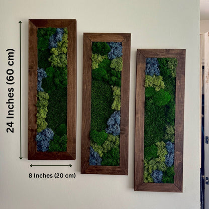 Framed Preserved Reindeer Sheet and Pole Moss Wall Art: Rectangle Set | USA - TARIFF FREE