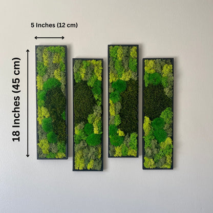 Framed Reindeer Moss Wall Art: Rectangle Panel Set | USA - TARIFF FREE