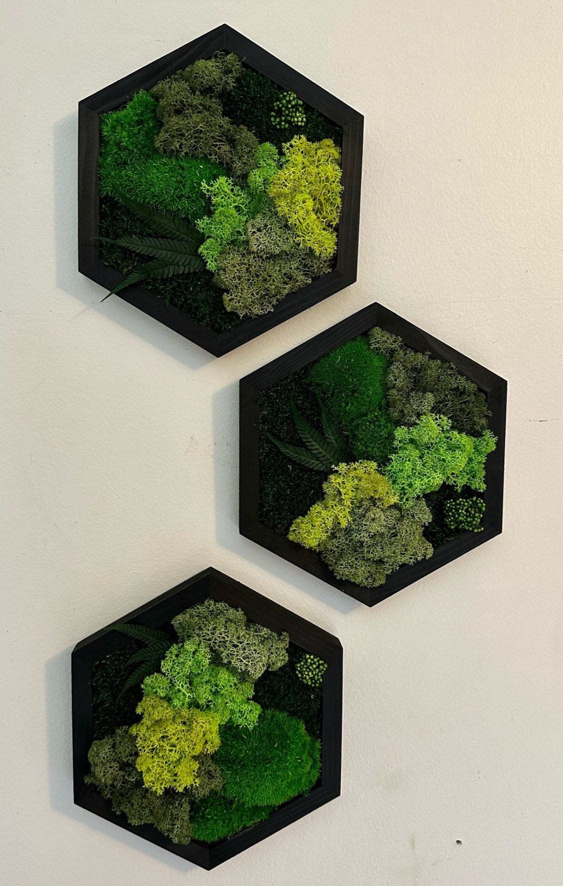 Handmade Moss Wall Art: Wood Hexagon with Reindeer Moss & Fern | USA - TARIFF FREE