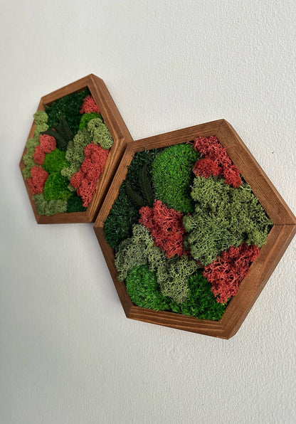 Moss Wall Art Decor | Handmade Wood Hexagon | Single Set to Six (8" x 9") or (10" x 11.6") | Preserved Lichen, Pole & Sheet Moss with Fern