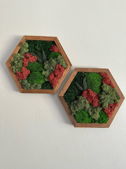Moss Wall Art Decor | Handmade Wood Hexagon | Single Set to Six (8" x 9") or (10" x 11.6") | Preserved Lichen, Pole & Sheet Moss with Fern