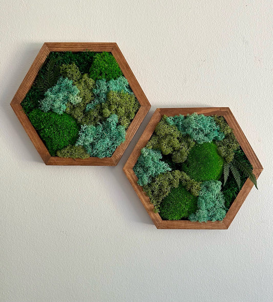 Moss Wall Art Decor | Handmade Wood Hexagon | Single to Set of Six (8" x 9") or (10" X 11.6") | Preserved Moss, Pole and Sheet Moss & Fern