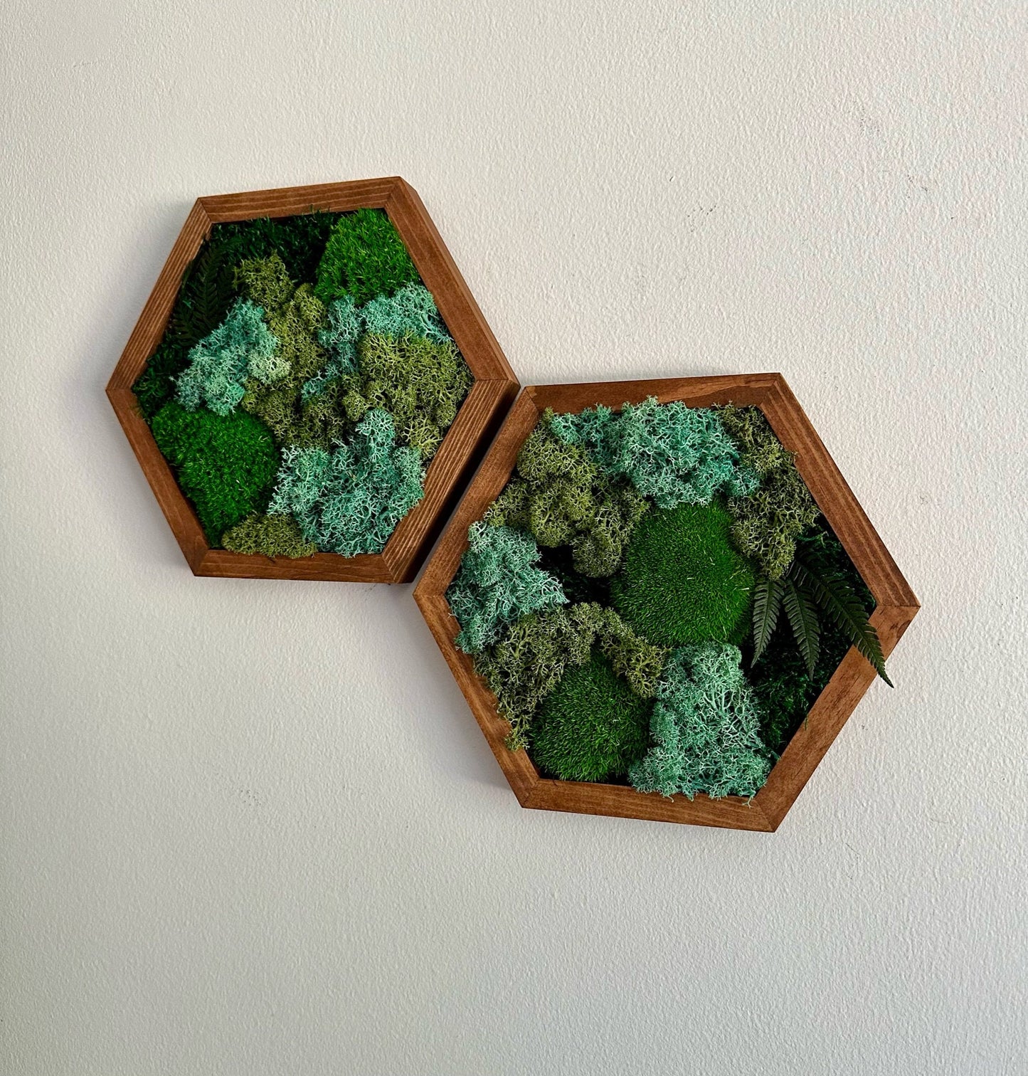 Moss Wall Art Decor | Handmade Wood Hexagon | Single to Set of Six (8" x 9") or (10" X 11.6") | Preserved Moss, Pole and Sheet Moss & Fern