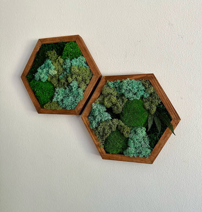 Moss Wall Art Decor | Handmade Wood Hexagon | Single to Set of Six (8" x 9") or (10" X 11.6") | Preserved Moss, Pole and Sheet Moss & Fern