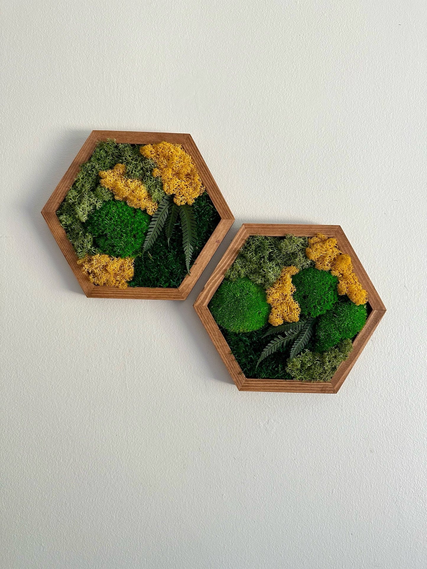Moss Wall Art Decor | Handmade Wood Hexagon | Single to Set of Six (8" x 9" each) or (10" x 11.6") | Preserved Moss, Pole Moss, Sheet Moss